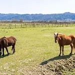 Villa Agave *