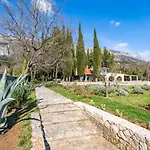 Agave Gruda